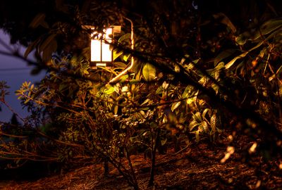 Освещение ландшафта. Сказки, которые рассказывает свет. Часть вторая.